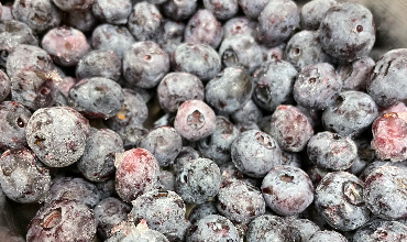 local farm grown blueberries