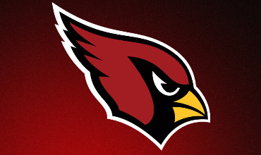 Newark Valley Cardinals Logo