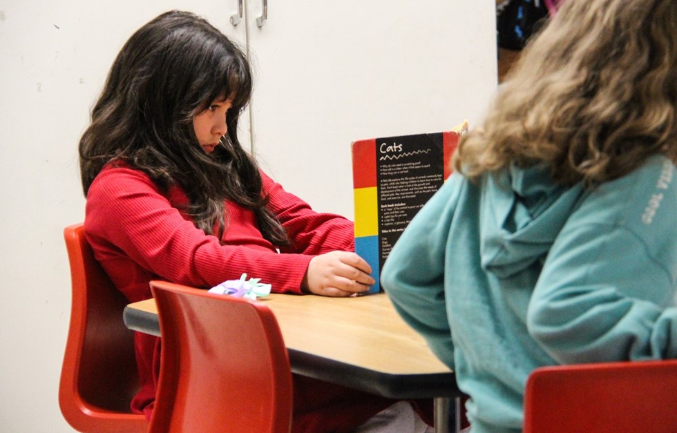Elementary school student reading a book